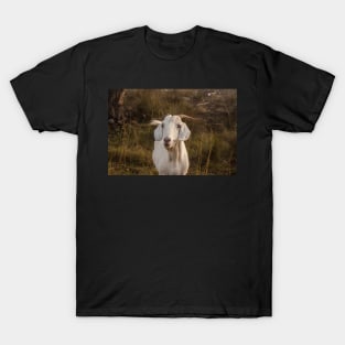 Nanny Goat T-Shirt